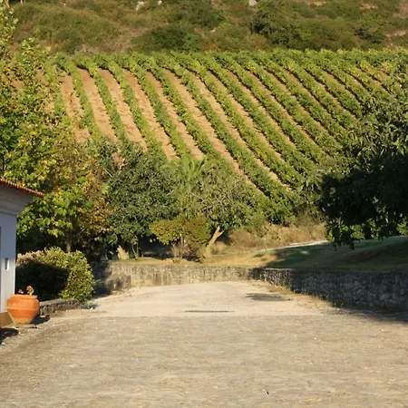 Quinta Da Murta Owner House Bucelas